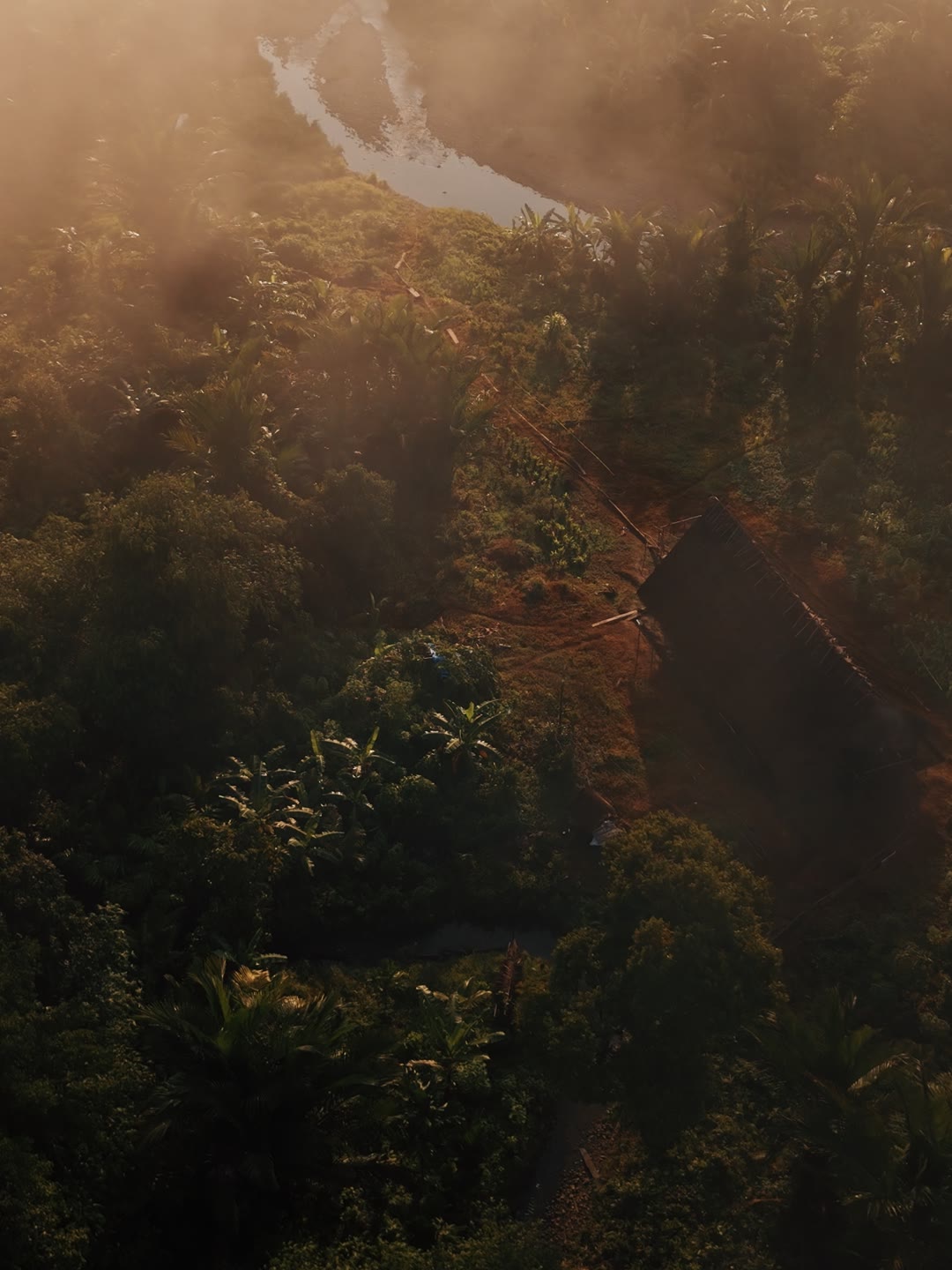 The Uma, the traditional Mentawai home