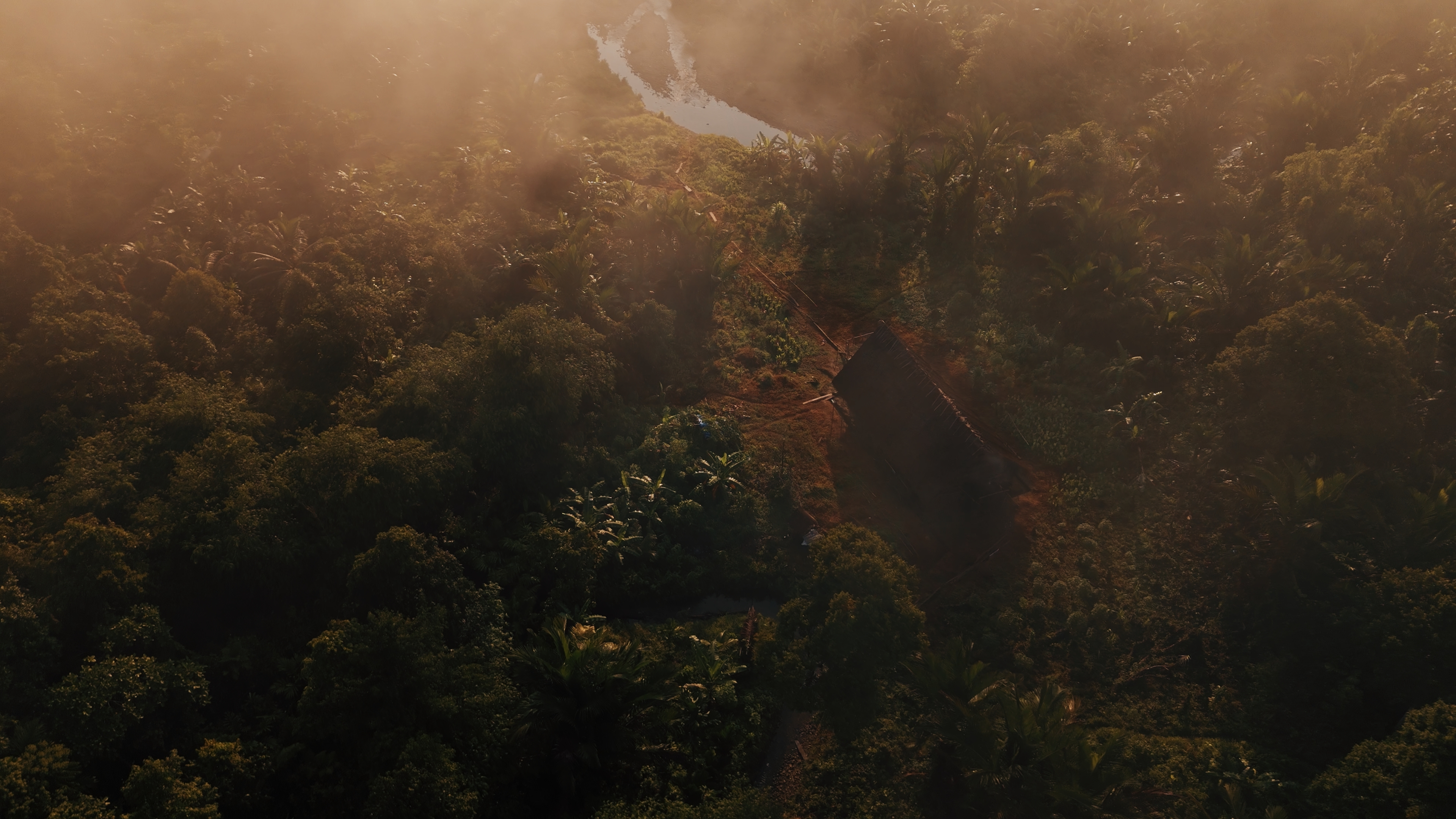The Uma, the traditional Mentawai home