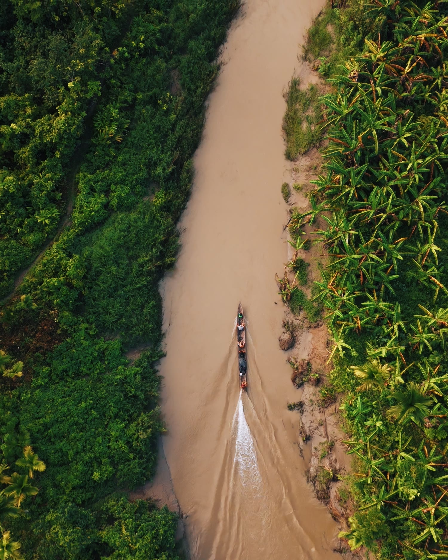 Boat travelling through jungle river, Mentawai
