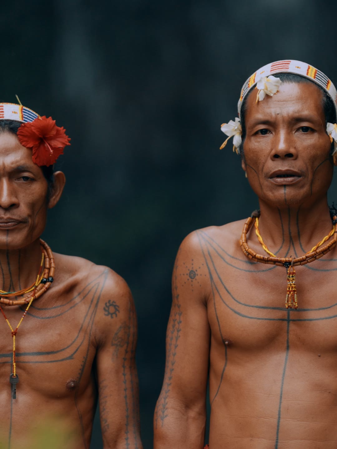 Amanako and Amanlion
