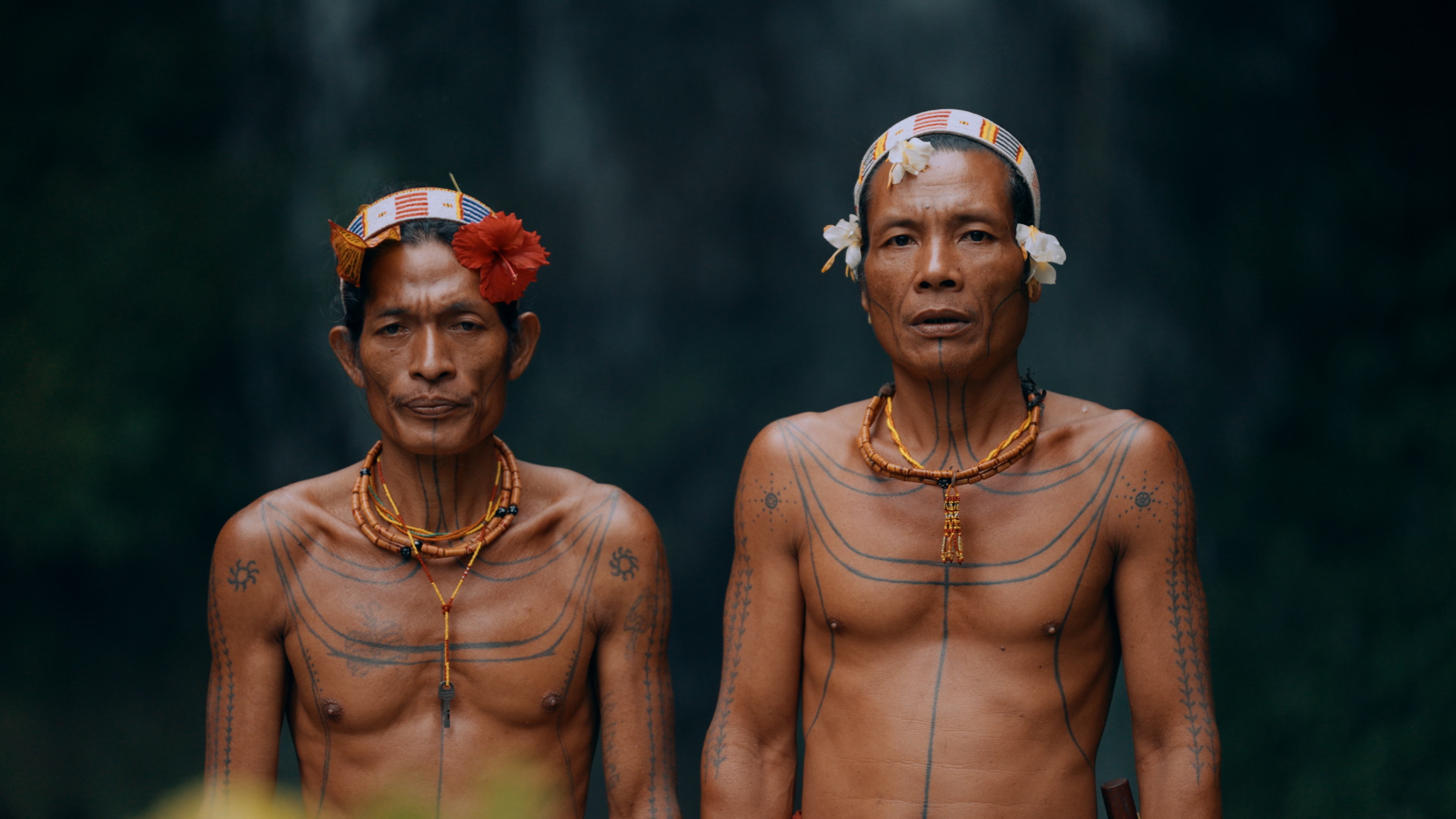 Amanako and Amanlion