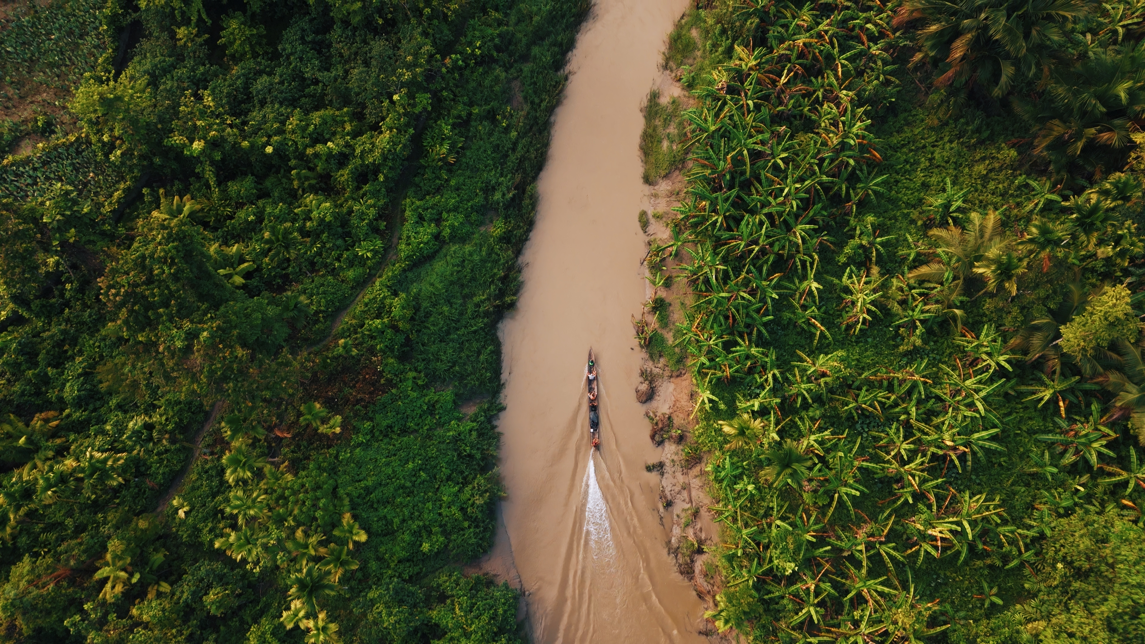 Boat travelling through jungle river, Mentawai